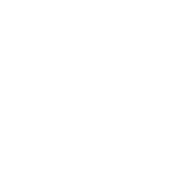 facebook logo button
