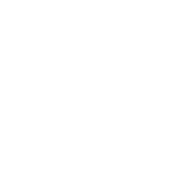 xing social logotype
